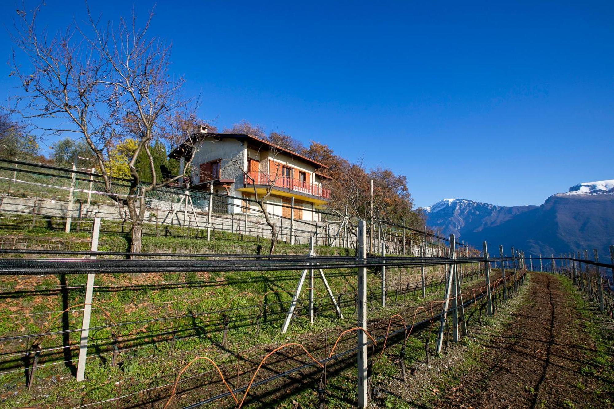 Balcone Panoramico Sul Garda - Happy Rentals Tremosine Eksteriør bilde